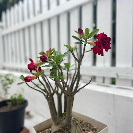 Moukdavan Guesthouse 琅勃拉邦 外观 照片